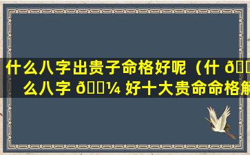 什么八字出贵子命格好呢（什 🐵 么八字 🌼 好十大贵命命格解析）